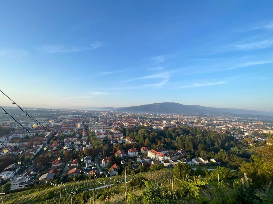 Studio With A View On City Center Park Maribor Exteriör bild